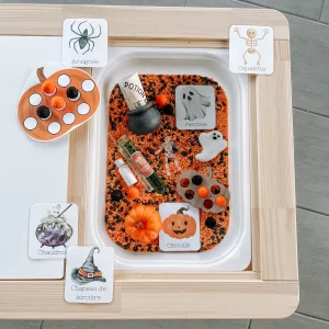 Boite sensorielle Halloween 2023