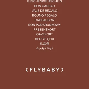 Flybaby Geschenkgutschein