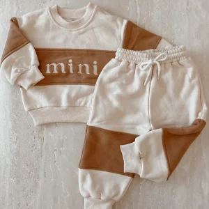 Ensemble mini