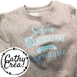 Surtout, ne grandissez pas, c'est une arnaque - Sweat enfant