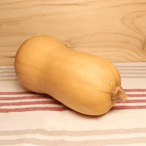Courge Butternut BIO - La pièce