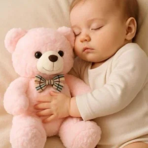 OURS EN PELUCHE | NOEUNOURSâ„¢