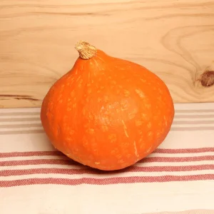 Potimarron BIO - La pièce petit calibre