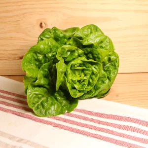 Salade sucrine BIO - La pièce