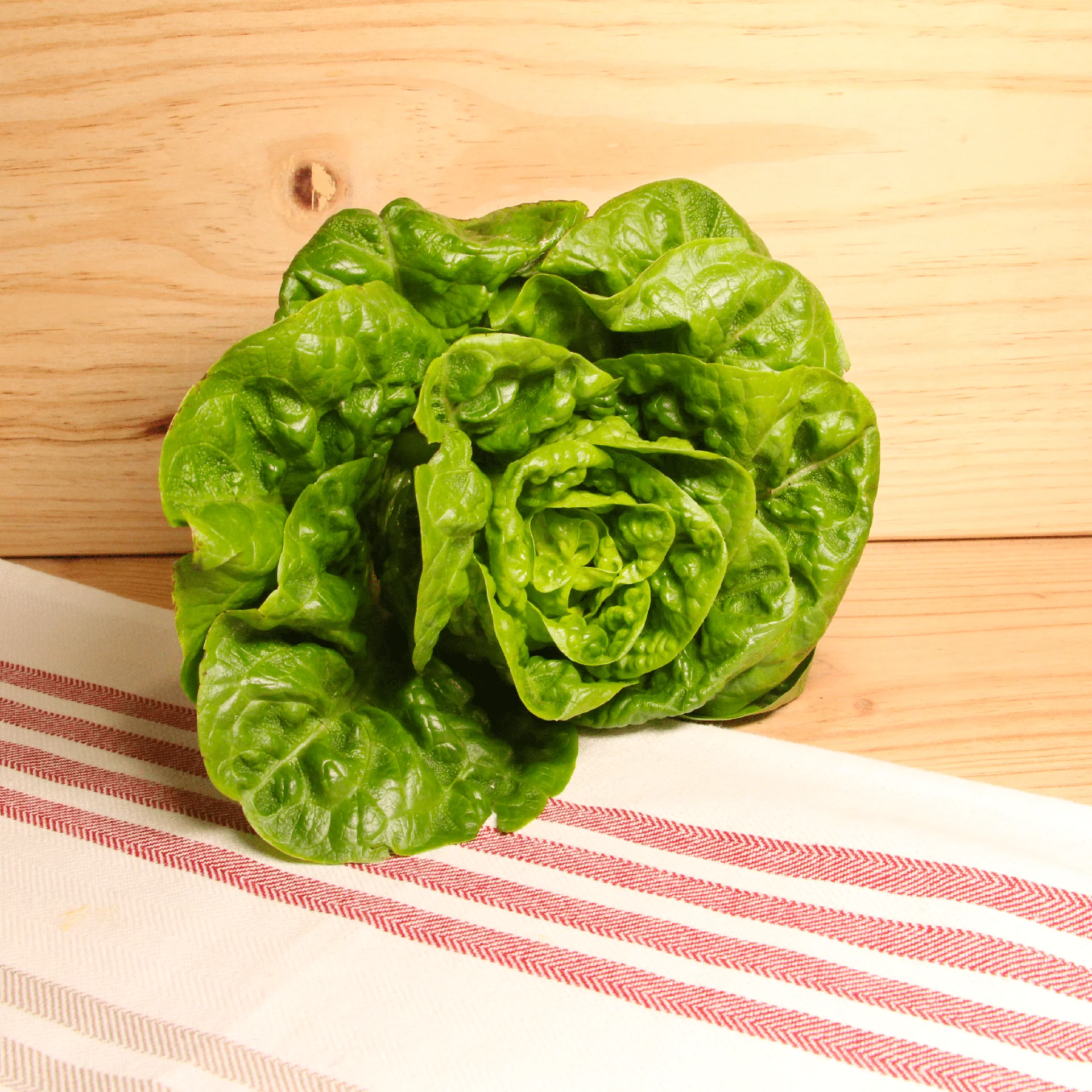 Salade sucrine BIO - La pièce