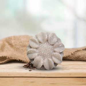 Shampoing Cheveux gras « L’équilibrant » - 100g