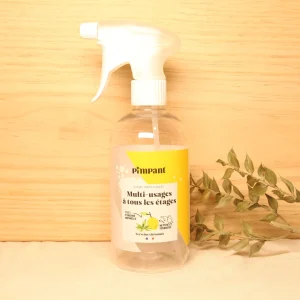 Spray vide "multi-usages" - 500mL